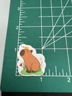cappybara Sticker Bundle